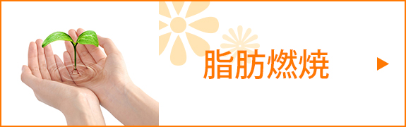 脂肪燃焼