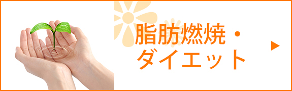 脂肪燃焼